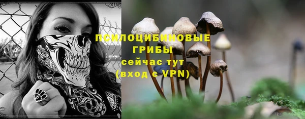 тгк Верхний Тагил
