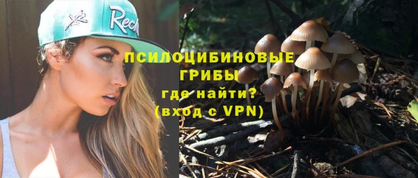 тгк Верхний Тагил
