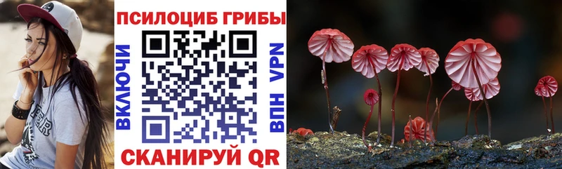 Галлюциногенные грибы Magic Shrooms Воркута
