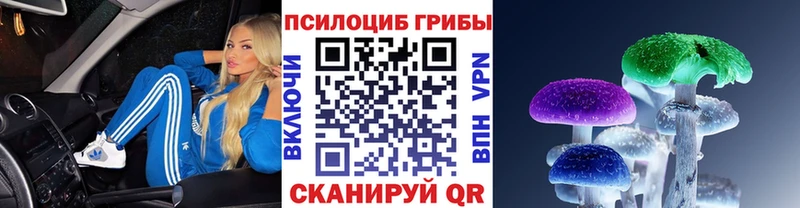 blacksprut ССЫЛКА  Воркута  Псилоцибиновые грибы Cubensis 
