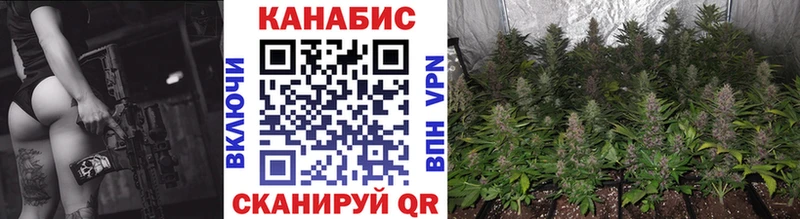 МАРИХУАНА план  где найти наркотики  Воркута 